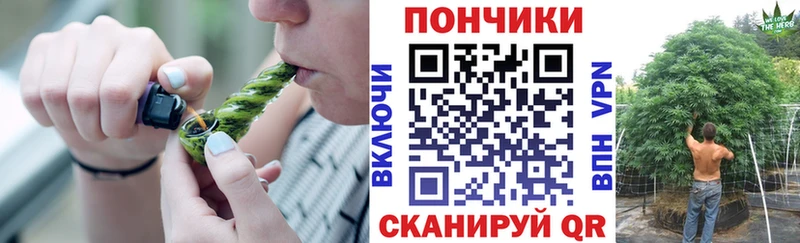 сколько стоит  Ленинск-Кузнецкий  Конопля планчик 
